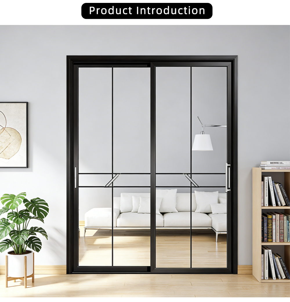 Minimalist Black Frame Two Panel Glass Sliding Door YJ-P044 X