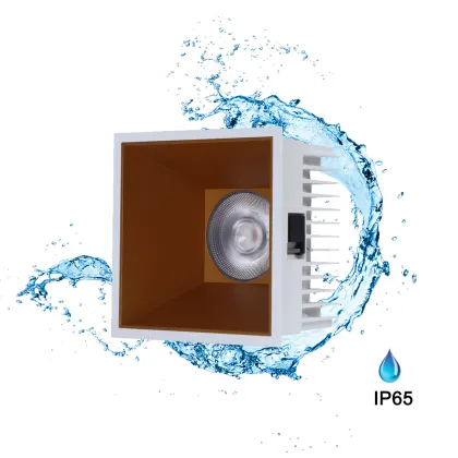 LED Downlight Commercial Lighting for Hotels