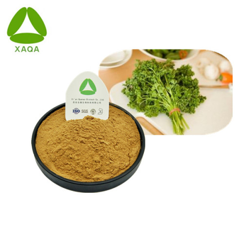 Plant Extracts Pure Natural Radix 10:1 Organic Parsley Extract Powder Manufactory