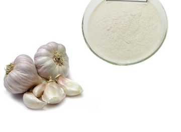 Product Garlic Extract Powder Garlic Allicin