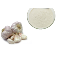 Product Garlic Extract Powder Garlic Allicin