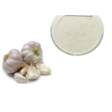 Product Garlic Extract Powder Garlic Allicin