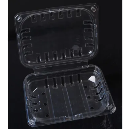 Automatic Packing Vacuum Forming Egg Tray Plastic Thermoforming Machines