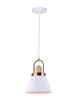 Decorative Vintage Designer  Shaped Modern Pendant Lamp