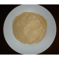 Healthy dried ginger powder