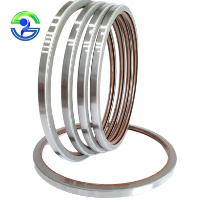 Custom Size TB TA SB SA Automobile Pump Iron Shell Framework Oil Seal