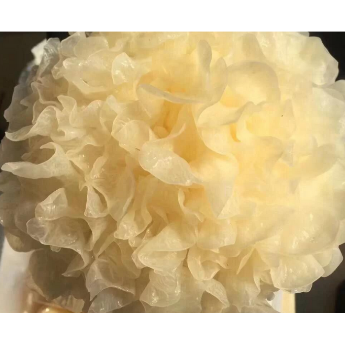 Delicioso fungo de orelha prateada