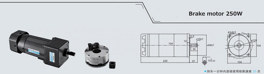 250w Brake Motor