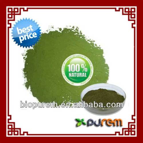 Chlorella Extract, High Quality Chlorella Extract on