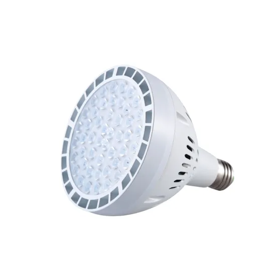 High Power 60W LED PAR38 - High Quality