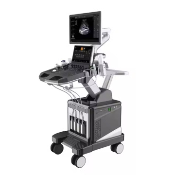 MEIDI New Dual Screen Trolley 3D 4D Electrical Evelated Adjustable Color Ultrasonic Diagnostic Apparatus 4D Ultrasound