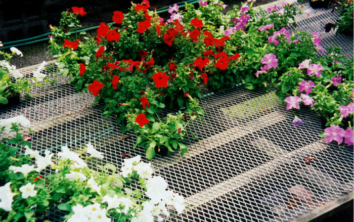 GreenhousePlatform_Expanded Metal Mesh