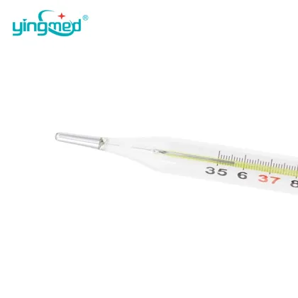 Medical Glass Clinical Mercury Thermometer