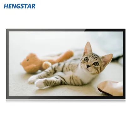 Full HD 43" Advisement Player