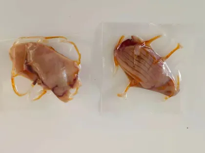 Delicious Dry Seafood Squid Wing Snacks