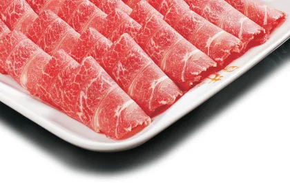 Home Use Electric Meat Slicer for Deli Meats and Bacon - USA Price