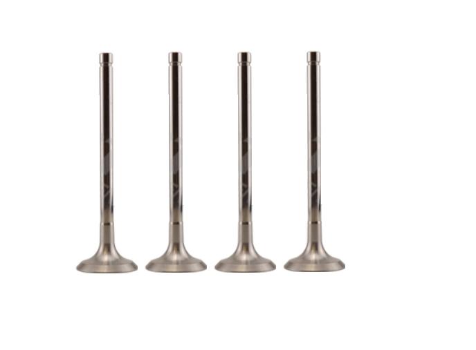 23500501 Exhaust Valve for Engine