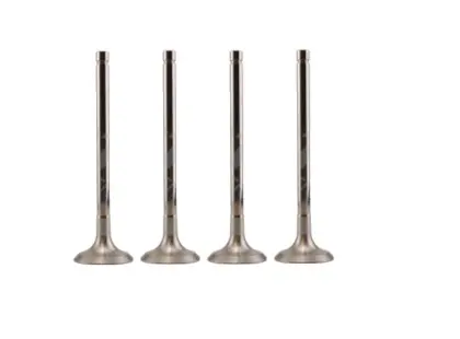 Valves 3088389 for Engine Systems