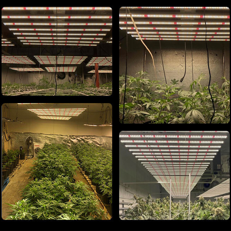 usa warehouse grow light