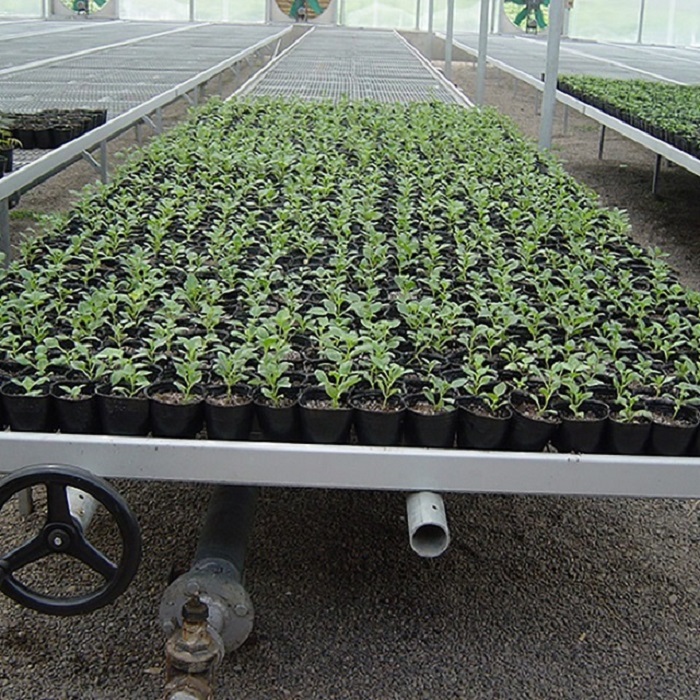 Adjustable Movable Rolling Nursery Bench