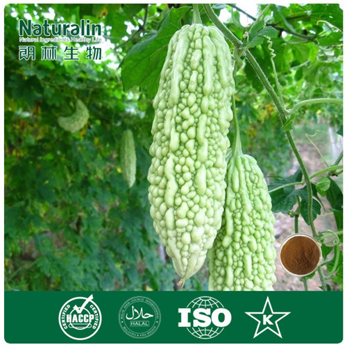 100 Natural Bitter Gourd Extract 100 1 By Tlc For Weight Loss, High