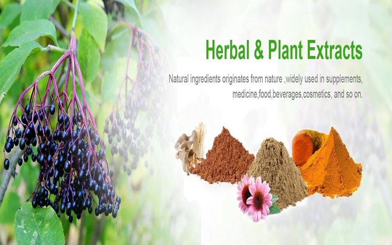 plant-extracts