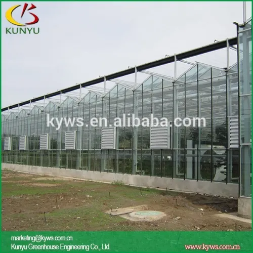 Venlo Roof Type Plexiglass Greenhouse Toughened Greenhouse Glass, High