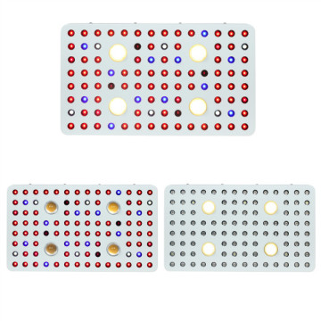 LED Grow Light Integrierter COB-Chip mit vollem Spektrum