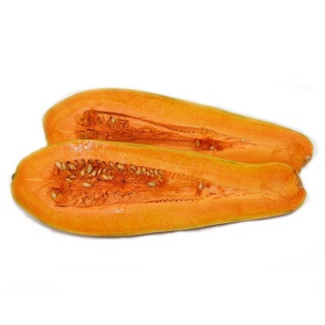 Premium Elongated Winter Squash from Yunnan