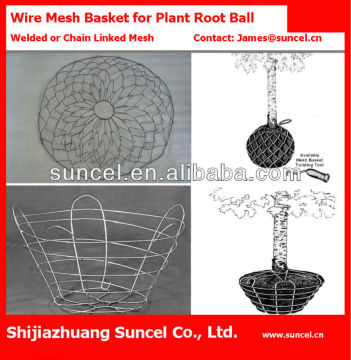 Root ball netting