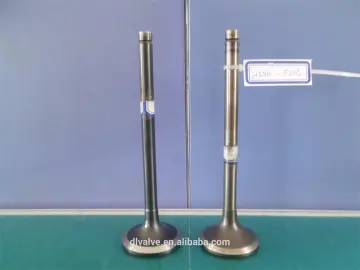 INTAKE &EXHAUST VALVES FOR HINO F20C
