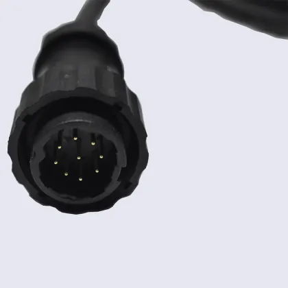 Electric Instrument Wire Harness