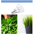 Plantas de luzes de cultivo de LED de espectro completo