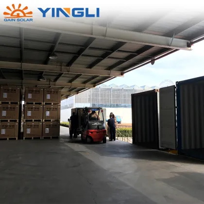 Yingli Solar Energy Products Kit: Photovoltaic Solar Panel Prices