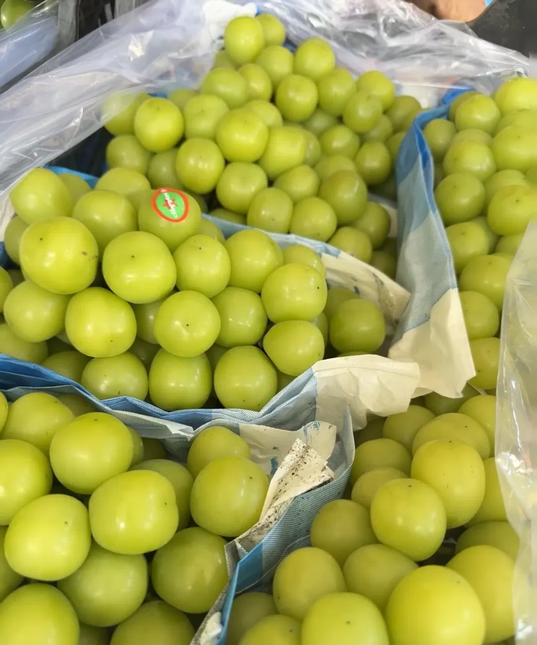 Mga Ubas ng Muscat na Bagong Naani na Walang Binhi
