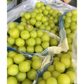 Mga Ubas ng Muscat na Bagong Naani na Walang Binhi