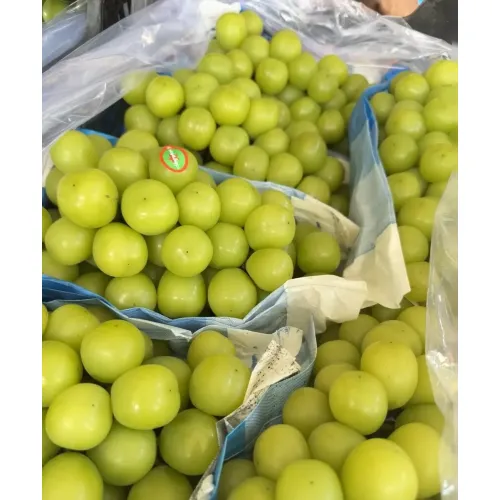 Mga Ubas ng Muscat na Bagong Naani na Walang Binhi