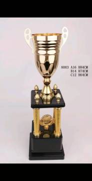 Metal trophy