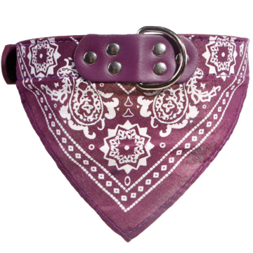 Vải bền Pet Bandana