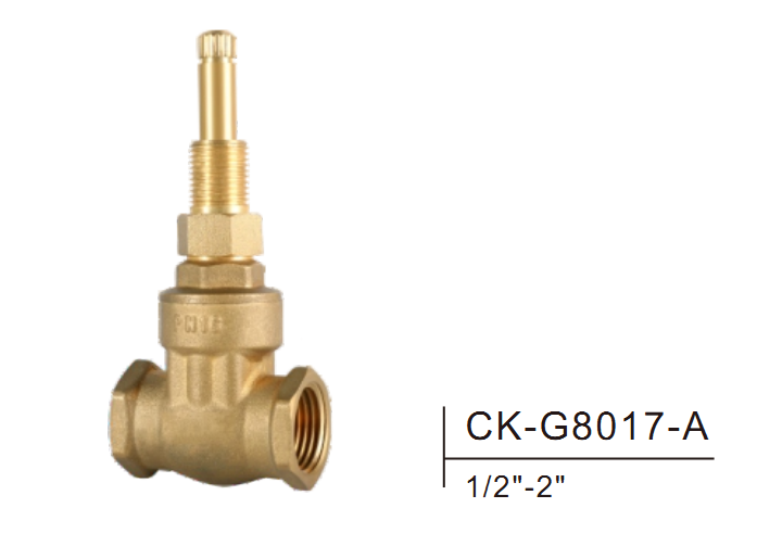 Valve de porte en laiton CK-G8017-A 1/2 "-2"