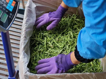 Yunnan Dried Tribute Vegetable