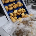 Machine de pelage de pommes de terre continue à usage industriel