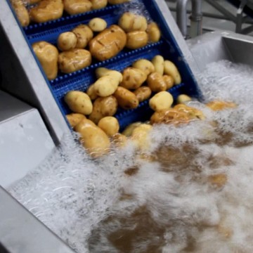 Potatoes Pre-soaked Sediment Removal Washing Machine