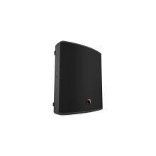 X12 Passive 2-Way Coaxial Speaker