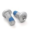 Anti-Theft Pan Head Screw M5-0.8*12 Non-Standard Fastener