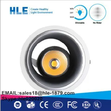 Project product 25W COB Downlight with PHILIPS COB Driver,free sample