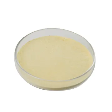 Top-Quality Catalase Powder Manufacturer: Bulk Pricing for Industrial Enzymes in Textile Industry