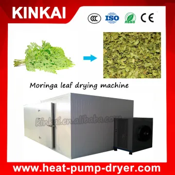 Fresh moringa leaf/herb drying machine/processing machine for herb