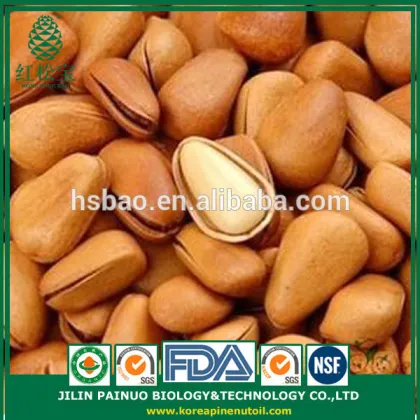Factory Direct High Quality Roasted Open Pine Nuts in Shell