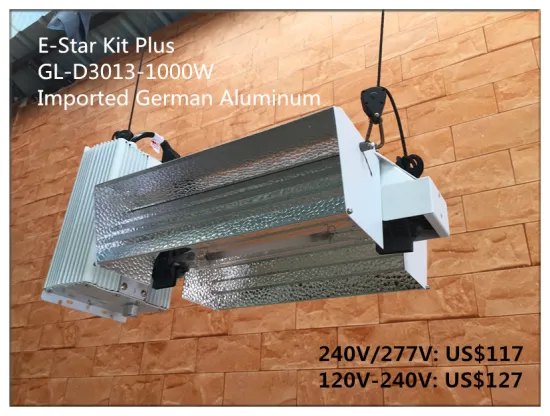 Imported high reflective aluminum double ended grow kits with ballast